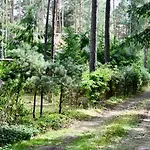 Daleko Od Szosy * Krajeczyn