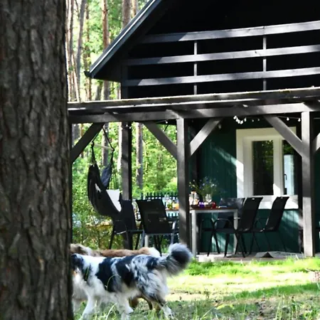 Holiday home Daleko Od Szosy Krajeczyn