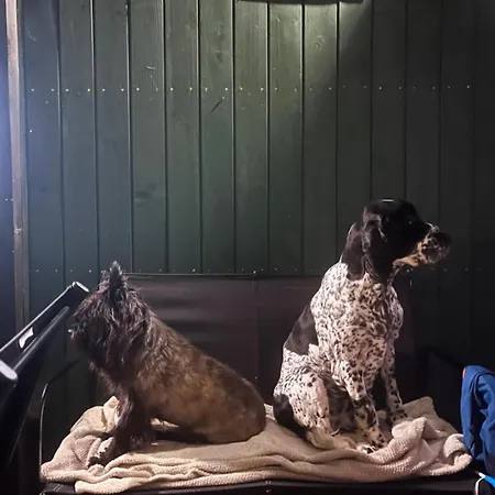 Daleko Od Szosy * Krajeczyn