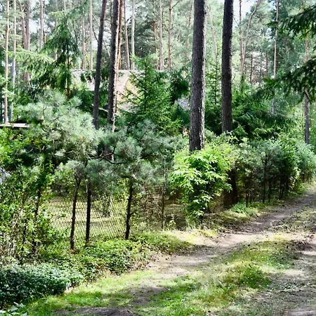 Daleko Od Szosy * Krajeczyn