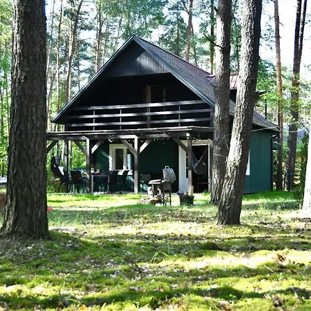 Daleko Od Szosy