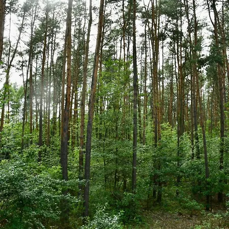 Casa de Férias Daleko Od Szosy *