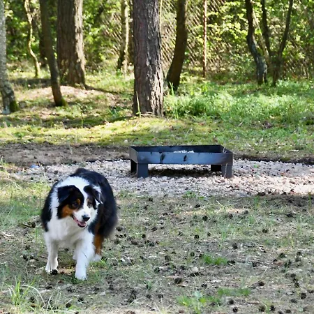 Daleko Od Szosy Krajeczyn
